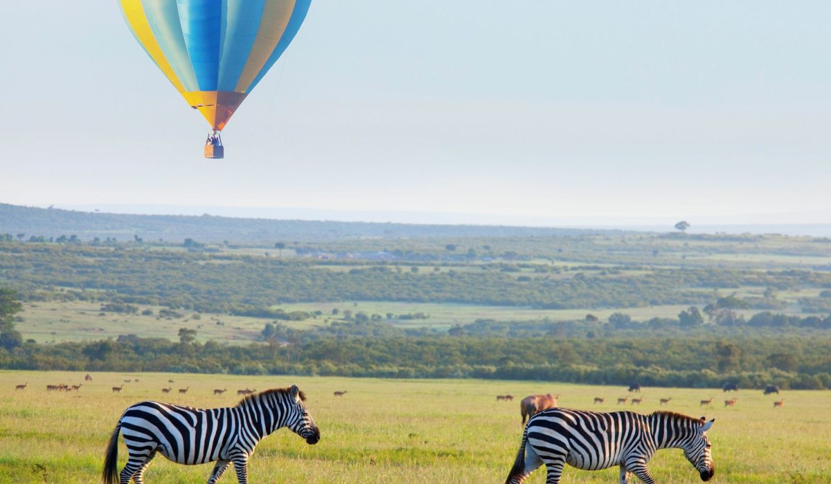 African safari