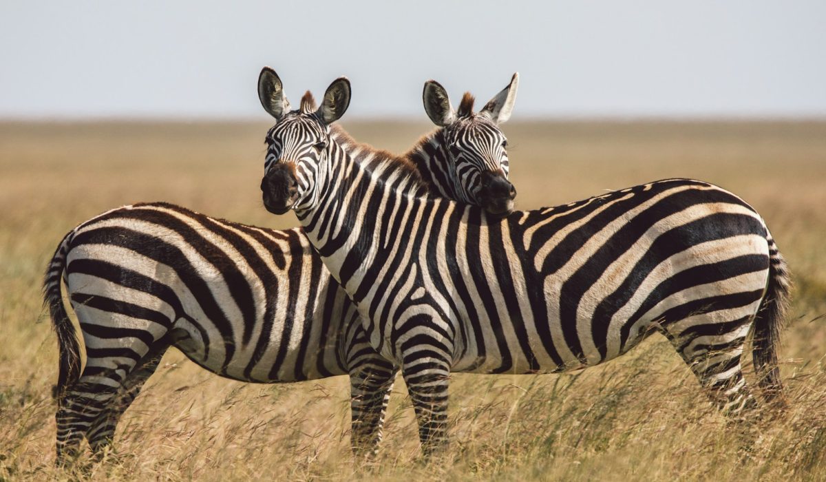Tanzania